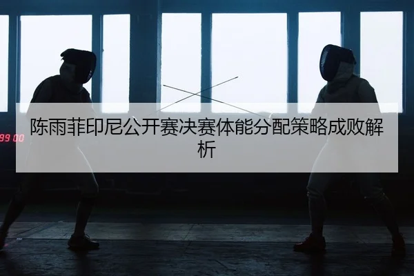 chen-yu-fei-yin-ni-gong-kai-sai-jue-sai-ti-neng-fen-pei-ce-lve-cheng-bai-jie-xi-2-914.jpg